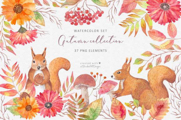 Autumn Collection. Watercolor Clipart. Illustrations