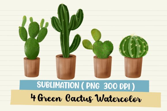 Green Cactus Watercolor Sublimation Png