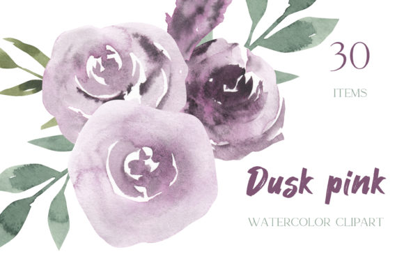 Purple Floral Clipart Watercolor Roses Illustrations