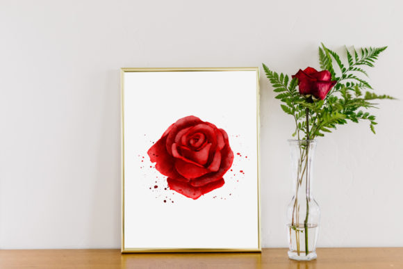 Red Rose Watercolor Illustration PNG