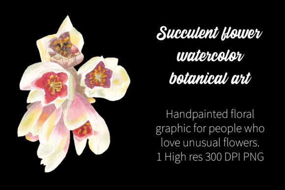 Succulent Flower Watercolor Botanical Ar Illustrations