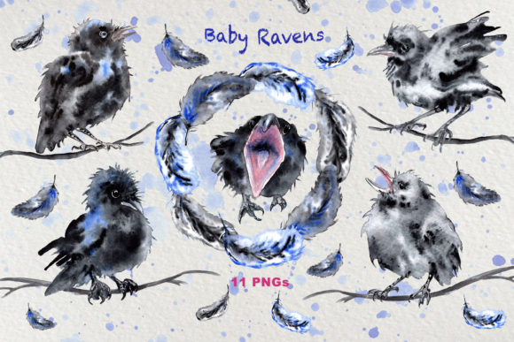 Watercolor Funny Baby Raven Clip Art and Illustrations
