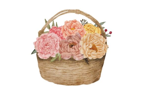 Watercolor Peony Flowers on a Basket Illustrations