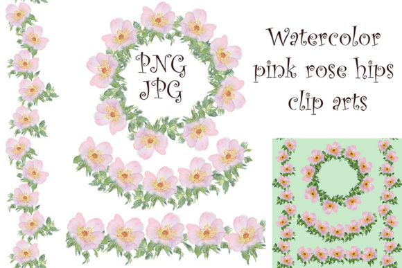 Watercolor Pink Rose Hips Clip Arts and Illustrations