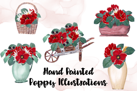Watercolor Red Poppy Compositions Illustrations