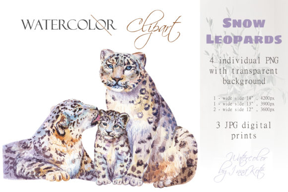 Watercolor Snow Leopards Animal Clipart