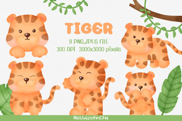 Watercolor Tiger Clipart Bundle and Illustrations